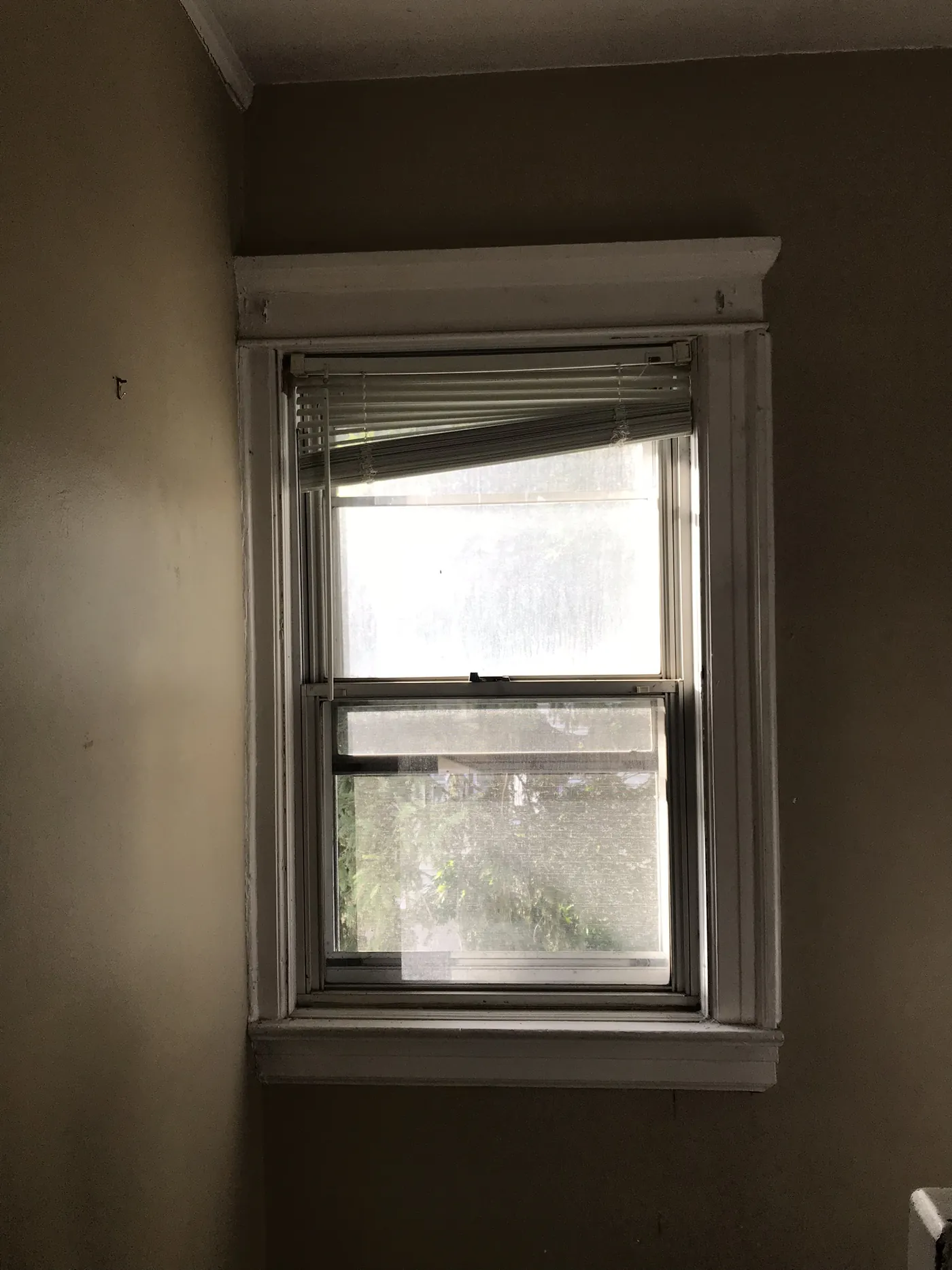 Casita Moultrie, before
